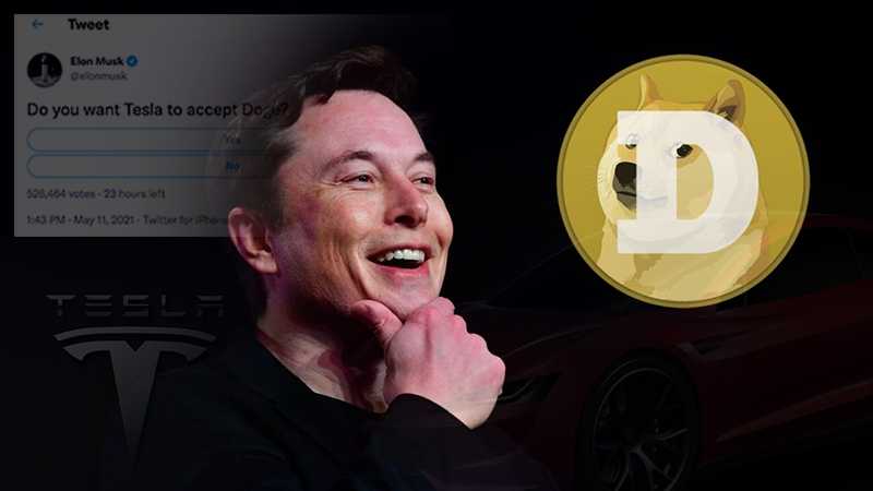 Elon Musk ปั่นกระแสอีกครั้ง โพสต์สำรวจความเห็นผ่าน Twitter ถามว่า Telsa ควรรับชำระเงินด้วย Dogecoin หรือไม่?