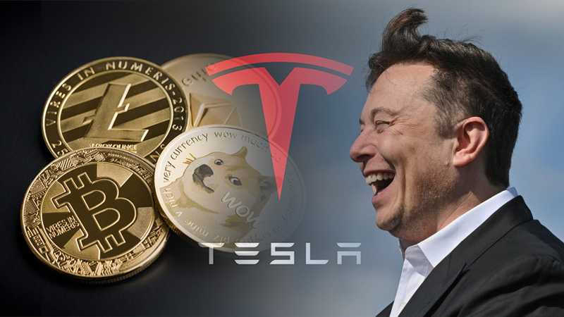 Elon Musk อ้างรักษ์โลก เท Bitcoin แล้วคิดว่า Tesla จะหันไปใช้เหรียญใดแทน นอกเหนือจาก Dogecoin ลูกรัก?