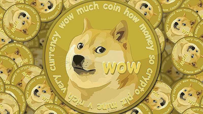 Chainalysis เผย อุปทานเหรียญ Doge ส่วนใหญ่ 82% ถือครองโดยนักลงทุนเพียง 535  ราย เท่านั้น ▻ Siam Bitcoin