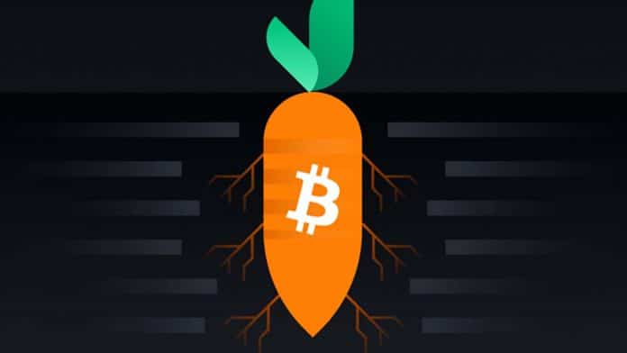 การอัพเกรด Taproot ของ Bitcoin ครั้งใหญ่สุดนับตั้งแต่ปี 2017 สำเร็จแล้ว