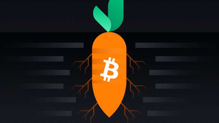 Siam Bitcoin 