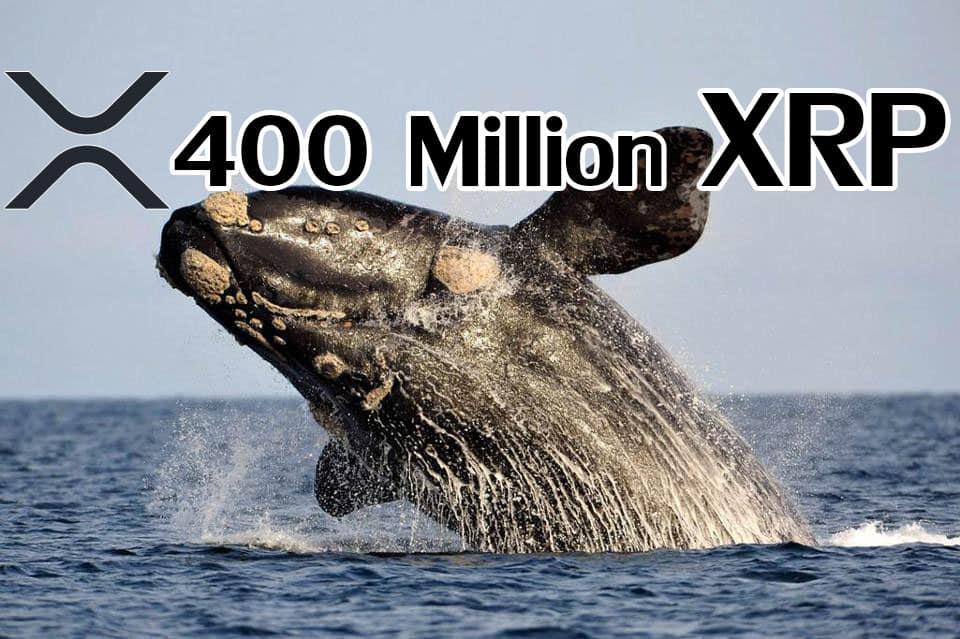 400 ล้านเหรียญ Xrp ถูกเคลื่อนโดย Ripple และวาฬนิรนาม