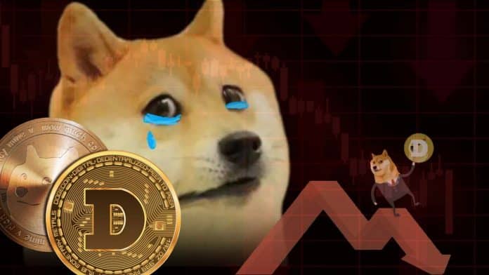 Dogecoin (DOGE) ร่วงหนัก ราคาต่ำสุดในรอบ 9 เดือน ท่ามกลางตลาดคริปโตดิ่งหนัก