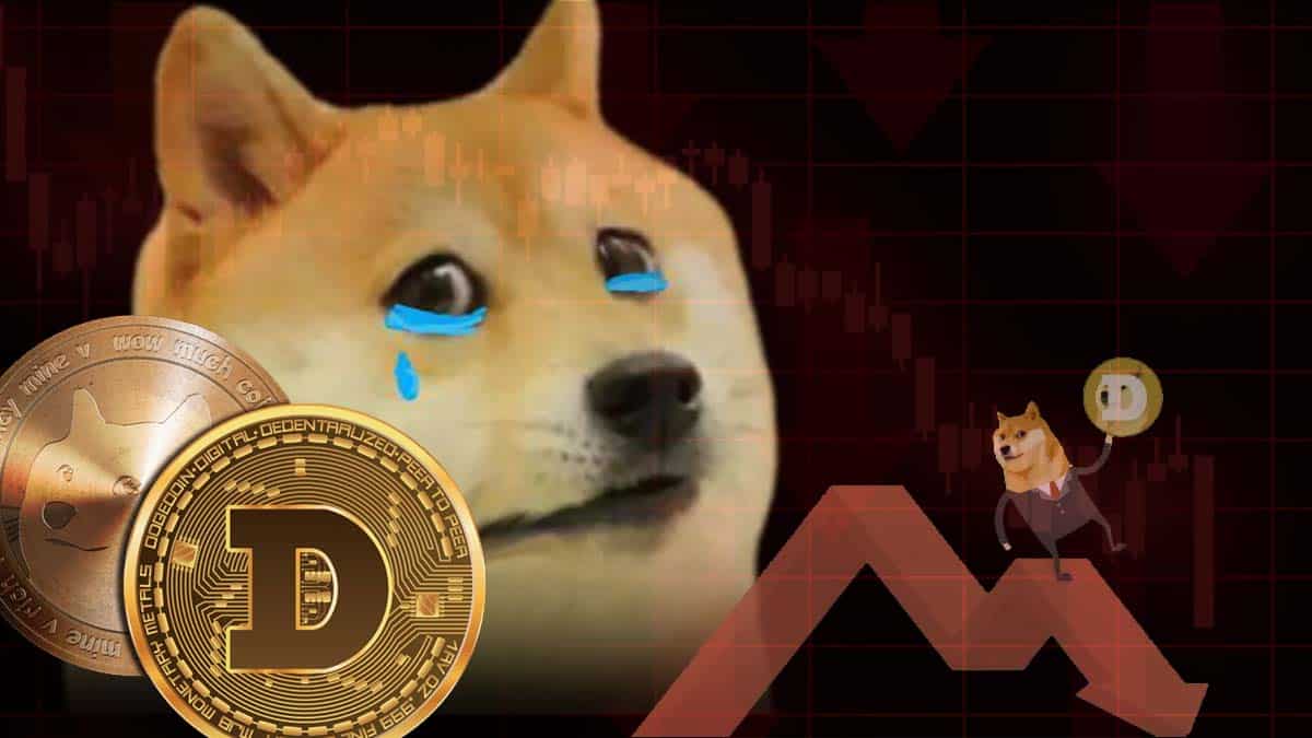 Dogecoin (Doge) ร่วงหนัก ราคาต่ำสุดในรอบ 9 เดือน ท่ามกลางตลาดคริปโตดิ่งหนัก  ▻ Siam Bitcoin