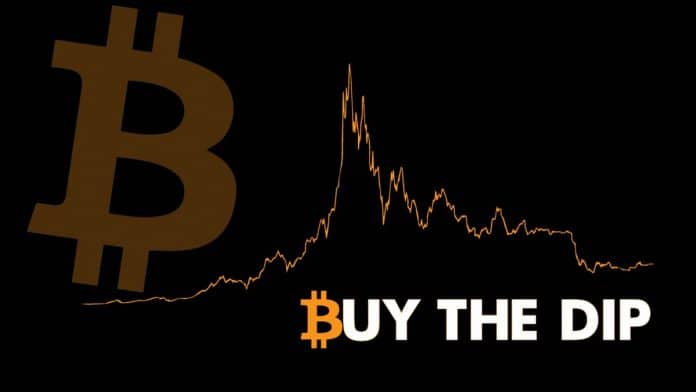 ผู้คนแห่กันชวนช้อนซื้อ Bitcoin (Buy The Dip) เร็วเกินไป ก่อนราคาจะดิ่งเหวจริง : ผลวิจัยเผย