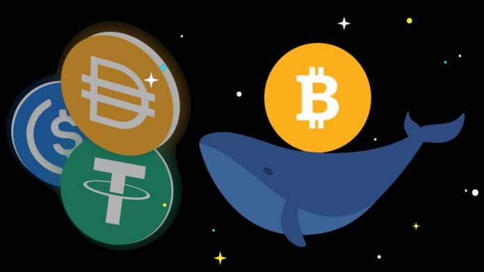 กำลังซื้อ Stablecon ของพวกวาฬ เพิ่มขึ้น 7% ภายในเดือนเดียว ส่งผลต่อราคา Bitcoin (BTC) อย่างไร?