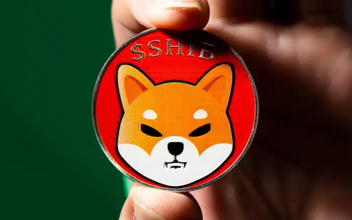 วาฬ Ethereum ไล่เก็บ Shiba Inu ขึ้นแท่นเหรียญที่มีการถือครองมากที่สุด ในบรรดาวาฬ หลังจากซื้อ SHIB มูลค่า 223 พันล้านดอลลาร์