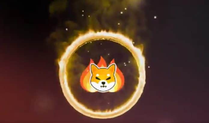 เหรียญ SHIB ถูกเผาไปแล้วกว่า 8 พันล้านเหรียญหลังจากเปิดตัว Shiba Inu Burn Portal