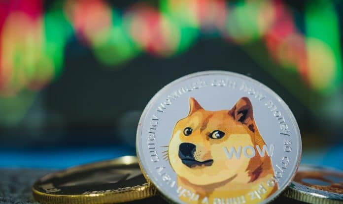 Dogecoin มีธุรกรรมจากวาฬมากที่สุดในรอบ 4 เดือนหลัง Elon musk เข้าซื้อ Twitter สำเร็จ