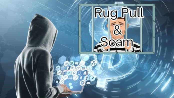 วุฒิสมาชิกรัฐนิวยอร์ก เสนอเอาผิดอาญากรณี Rug Pull และ Scam ในรูปแบบ Crypto