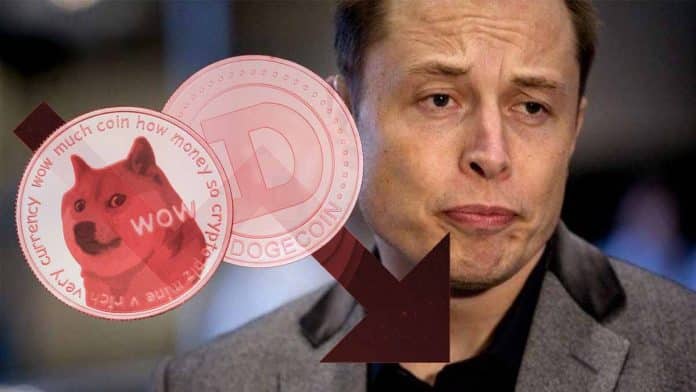 Dogecoin ตลกไม่ออก ราคาร่วง 90% นับตั้งแต่ Elon Musk ออกรายการ SNL