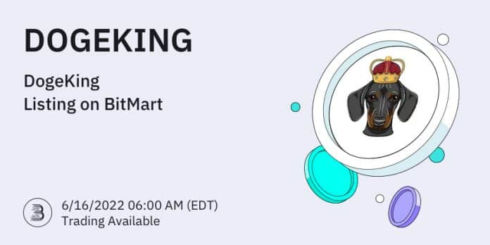 BitMart ลิสต์เหรียญ DogeKing (DOGEKING) พร้อมคู่เทรด DOGEKING/USDT