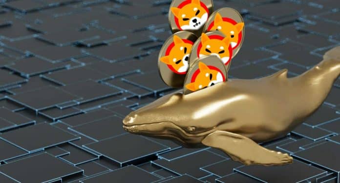 เจ้ามือ Ethereum กำลังสะสม Shiba Inu อย่างต่อเนื่องและนี้คือเหตุผล