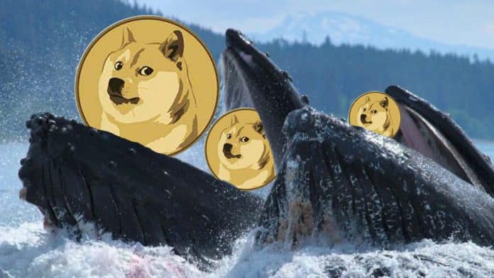 WhaleStats เผยวาฬซื้อ Dogecoin จำนวน 400ล้าน DOGE มูลค่ากว่า 31 ล้านดอลลาร์