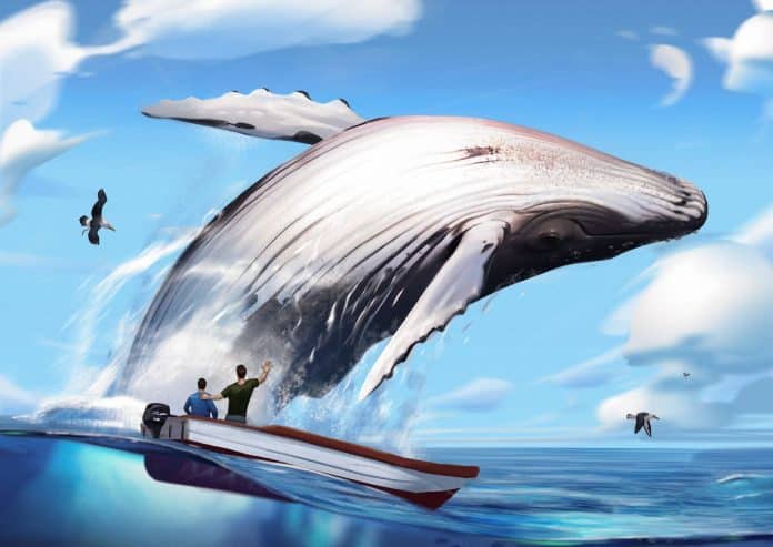 วาฬ ETH กว้านซื้อ Shiba Inu มูลค่ารวมกว่า 3 ล้านดอลลาร์ ในเวลาเพียง 2 วัน