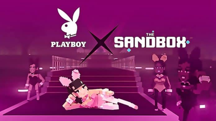 Playboy แบรนด์ไลฟ์สไตล์ชื่อดังเข้าร่วม Sandbox เปิดตัว 