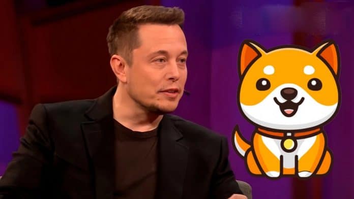 Baby Doge ทวีตการครบรอบ 1 ปีที่ Elon Musk โพสเนื้อเพลง 