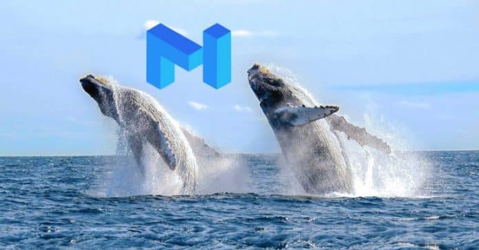2 วาฬ Ethereum เข้าซื้อ MATIC มูลค่ากว่า 2.5 ล้านดอลลาร์ หลังราคาเพิ่มกว่า 25% ใน 7 วันที่ผ่านมา