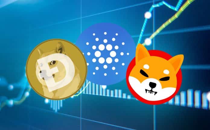 Cardano, Dogecoin และ Shiba Inu เพิ่มขึ้นท่ามกลางการฟื้นตัวของตลาด Crypto