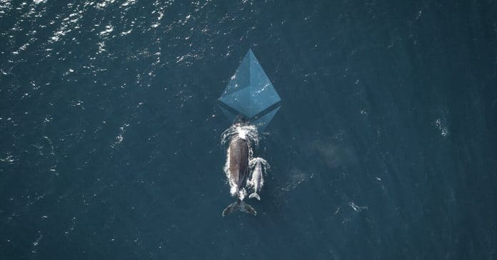วาฬกำลังสะสม Ethereum เพิ่มขึ้นหลังราคา ETH บวกขึ้นกว่า 40% ในหนึ่งสัปดาห์