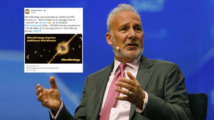 Peter Schiff วิจารณ์การซื้อ Bitcoin เพิ่ม 480 BTC ของ Michael Saylor