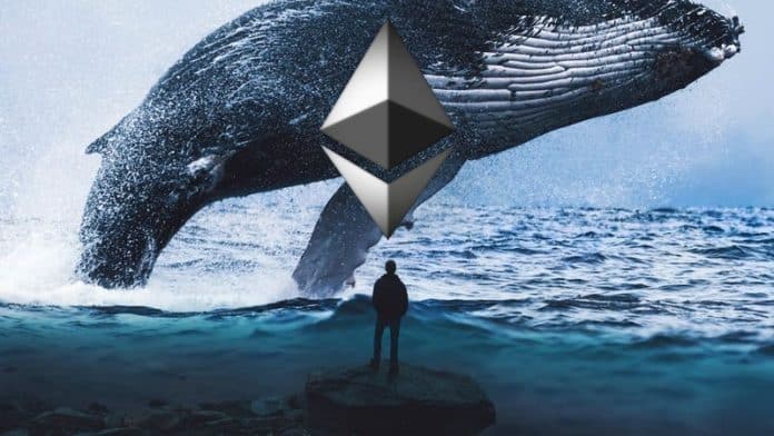 ธุรกรรมของวาฬ Ethereum พุ่งแตะระดับสูงสุดในรอบ 2 เดือน ท่ามกลางการอัพเกรด merge ของ Goerli testnet