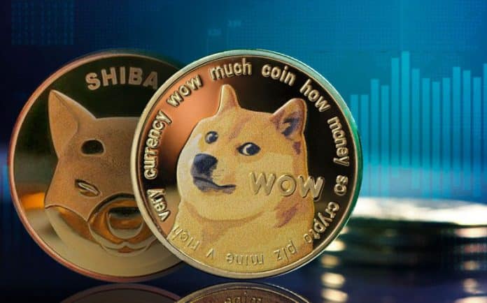 Shiba Inu และ Dogecoin มีปริมาณการซื้อขายเพิ่มขึ้น 640% ใน 24 ชั่วโมงที่ผ่านมา