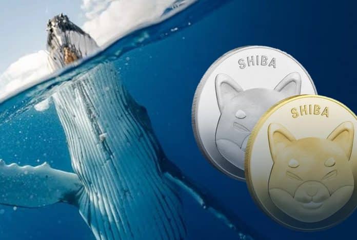 วาฬโอน Shiba Inu กว่า 281 พันล้าน SHIB ไปยังกระเป๋าเงินนิรนามเหล่านี้
