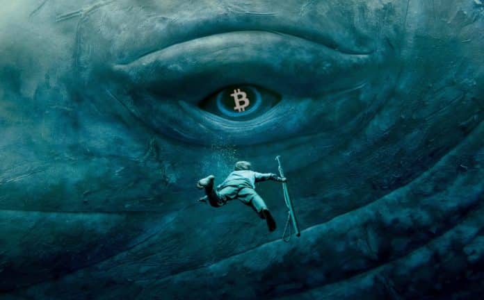 วาฬ Bitcoin โบราณโอนเหรียญมูลค่า 100 ล้านดอลลาร์ไปยังกระดานเทรด Kraken เราควรกังวลหรือไม่?