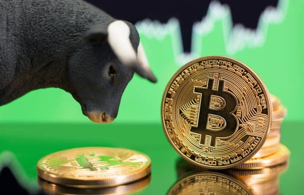 Will Clemente เชื่อว่า Bitcoin ส่งสัญญาณขาขึ้นและถูกตีราคาต่ำเกินไปในตอนนี้