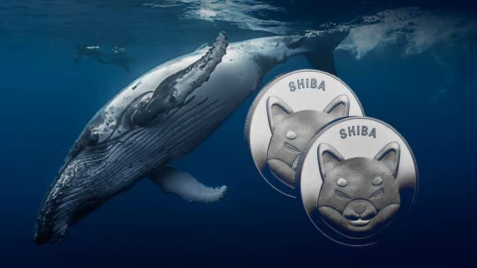 วาฬ ETH เทขาย Shiba Inu กว่า 152,000 ล้าน SHIB ในช่วงสุดสัปดาห์