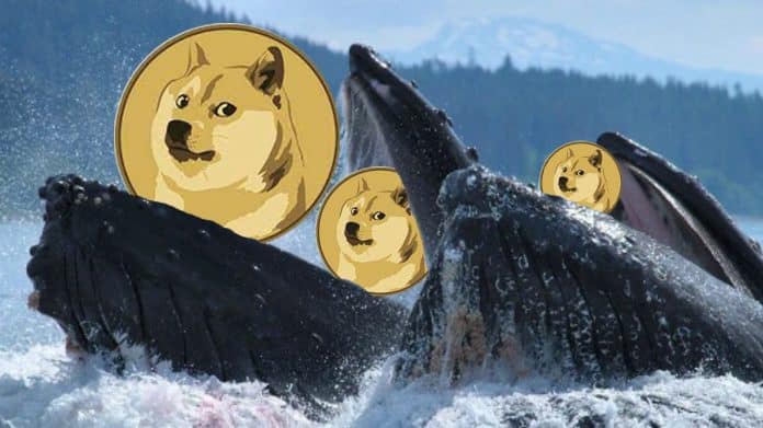 เจ้ามือรายใหม่กว้านซื้อ Dogecoin กว่า 620 ล้าน DOGE ในช่วง 3 วันที่ผ่านมา