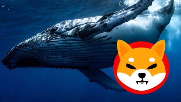WhaleStats เผยเจ้ามือ Ethereum ขาย Shiba Inu ทิ้งกว่า 223 ล้าน SHIB ท่ามกลางความผันผวนของตลาด