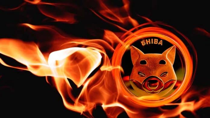 อัตราการเผา Shiba Inu เพิ่มขึ้น 14,267% ท่ามกลางราคาที่เริ่มฟื้นตัว