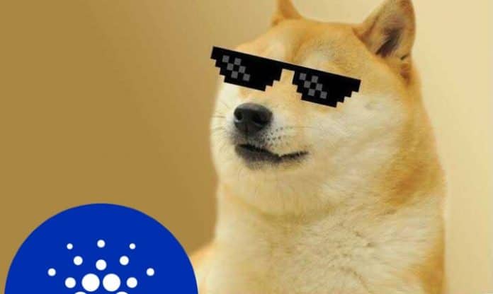 Dogecoin แซงหน้า Cardano หลังจากพุ่งขึ้นมากกว่า 60%