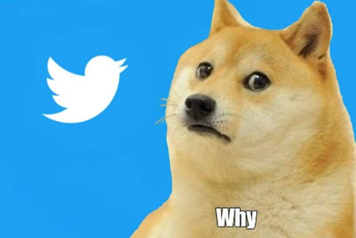 ราคา Dogecoin ลดลงมากกว่า 10% หลัง Twitter ล้มเลิกแผนพัฒนากระเป๋าเงินคริปโต