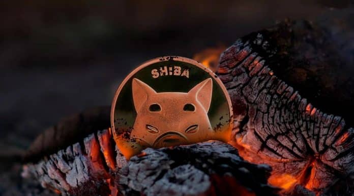 Shiba Inu ถูกเผาไปแล้วกว่า 6 ร้อยล้านเหรียญ ในเดือนพฤศจิกายน