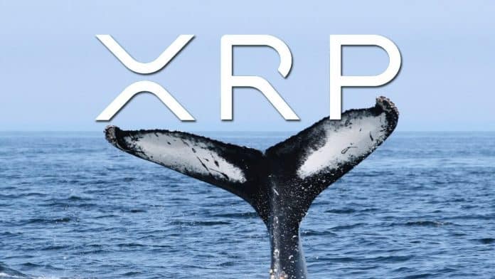 วาฬ XRP โอน 29 ล้านโทเคน ไปยังตลาด Bitstamp ท่ามกลางราคาลดลง