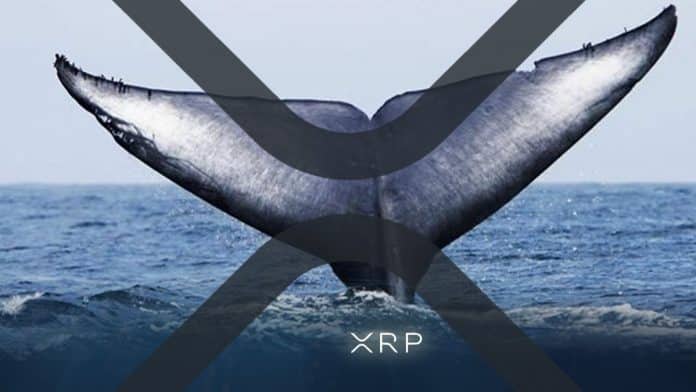 Whale Alert แจ้งเตือน มีการโอน XRP มหาศาล จำนวน 66,666,659 XRP โทเคน อาจมีการเก็งกำไรราคาตามมา