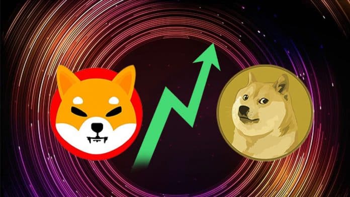 Dogecoin, Shiba Inu ทะยานขึ้น 9% เทรดเดอร์กำลังเดิมพันในเหรียญมีที่มีความเสี่ยงมากกว่า?