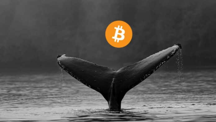 ราคา Bitcoin ร่วงต่ำสุดในรอบ 1 สัปดาห์ วาฬเทขายแตะ $35K ก่อนปรับตัวขึ้นมาล่าสุด