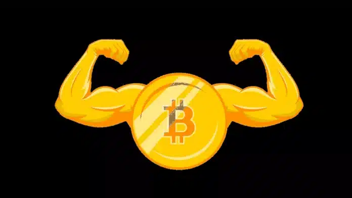 หนึ่งทศวรรษผ่านไป Bitcoin ยังคงยืนหนึ่ง เติบโต เปลี่ยนแปลง ก้าวหน้า และยืดหยุ่น ขณะที่หลายเหรียญหายไปจากตลาดอย่างสิ้นเชิง